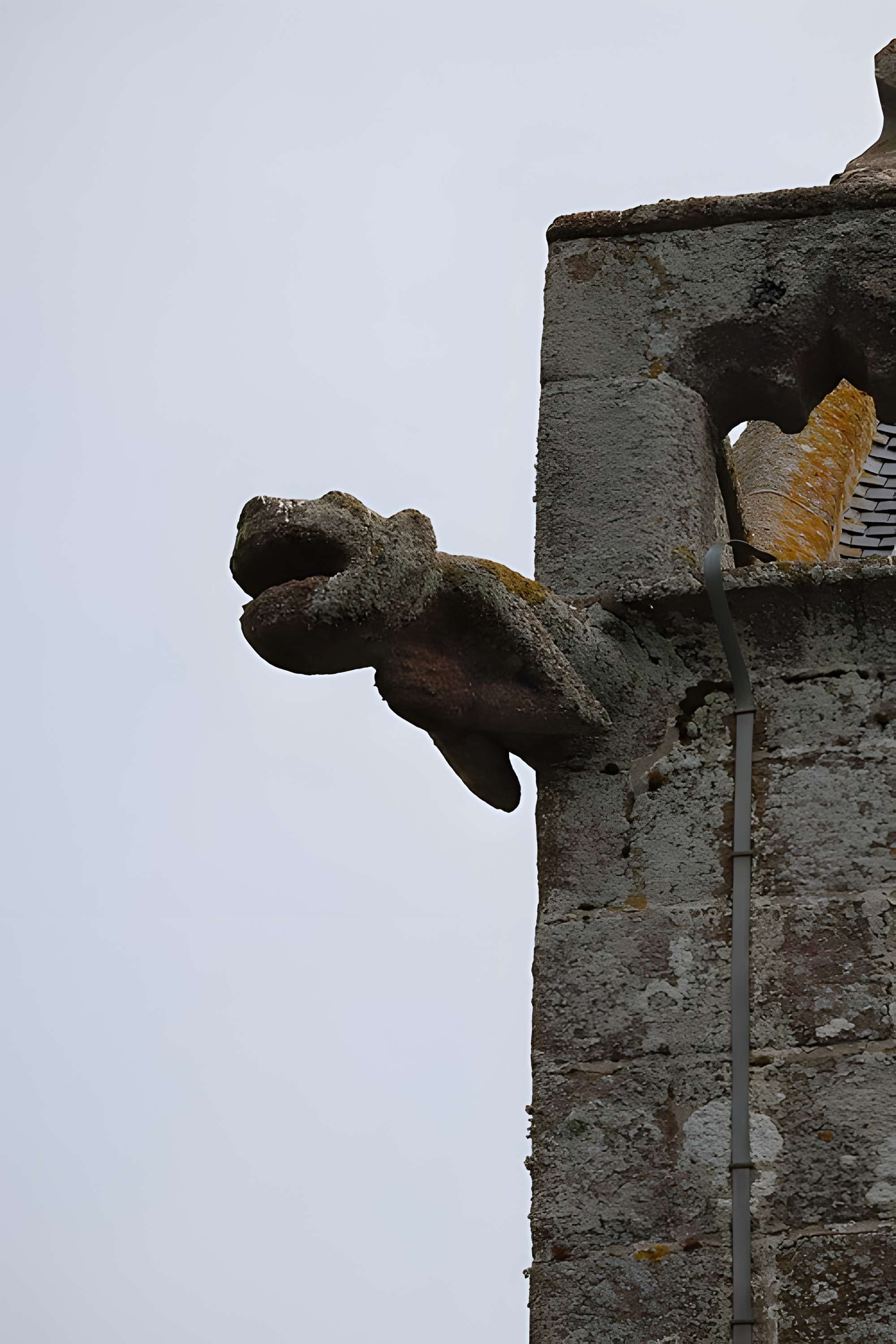 Église Notre-Dame de Genêts