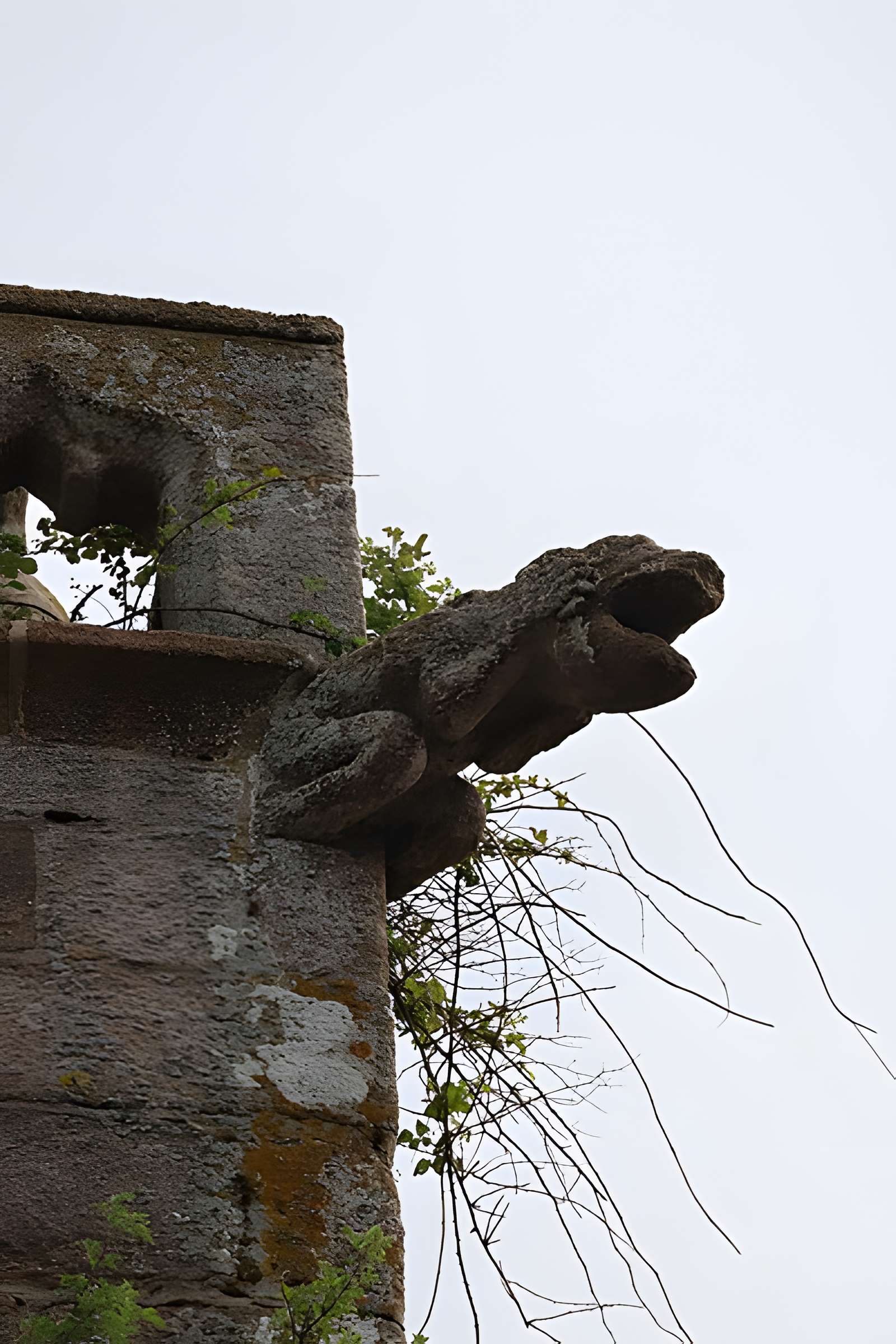 Église Notre-Dame de Genêts