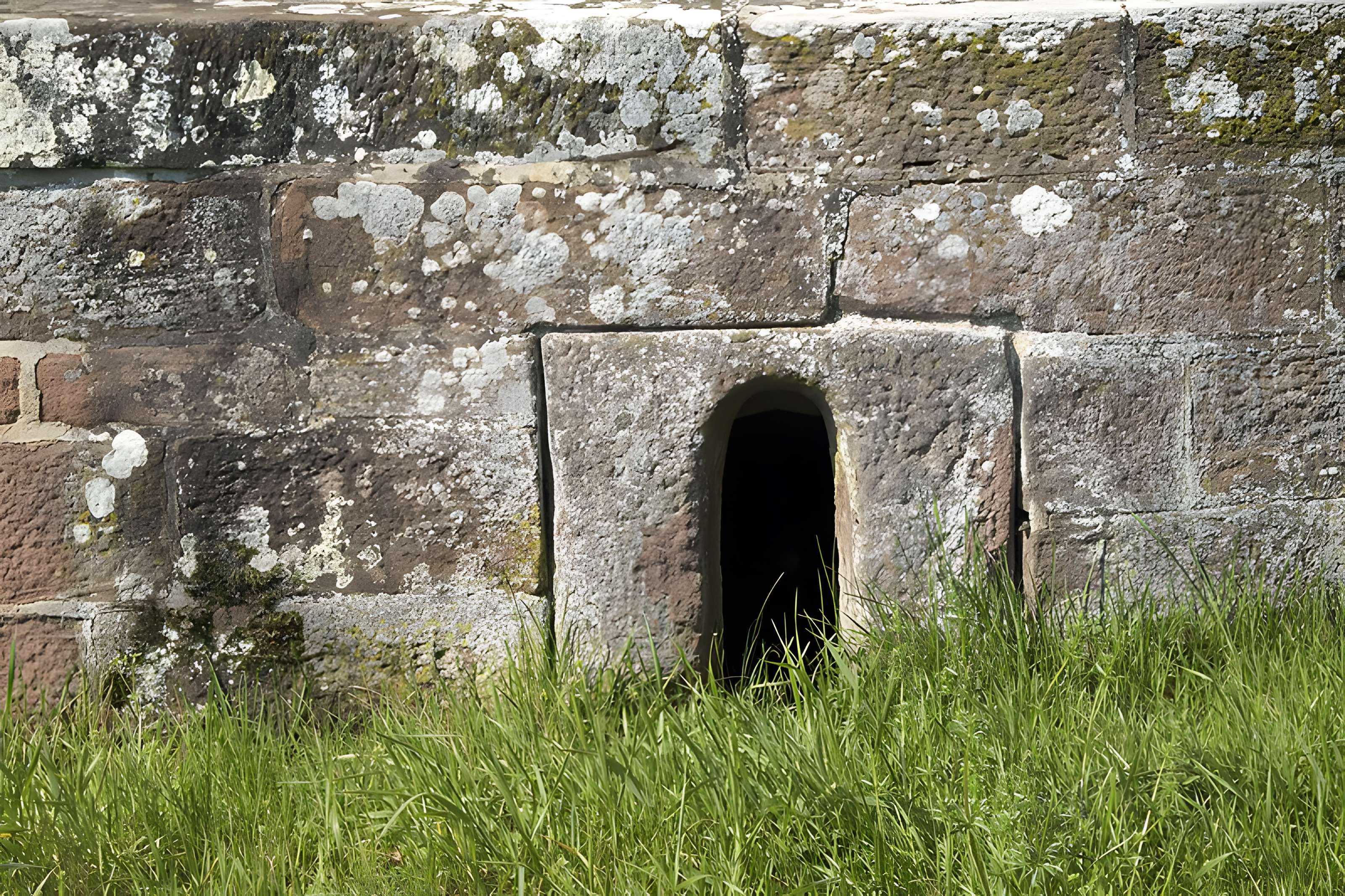 Abbatiale Saint-Jean-Baptiste de Saint-Jean-Saverne