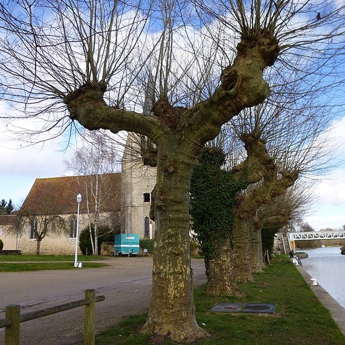 Photo de Église Notre-Dame de Montbouy