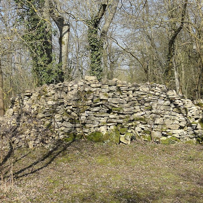 Photo de Église Notre-Dame de Morcourt