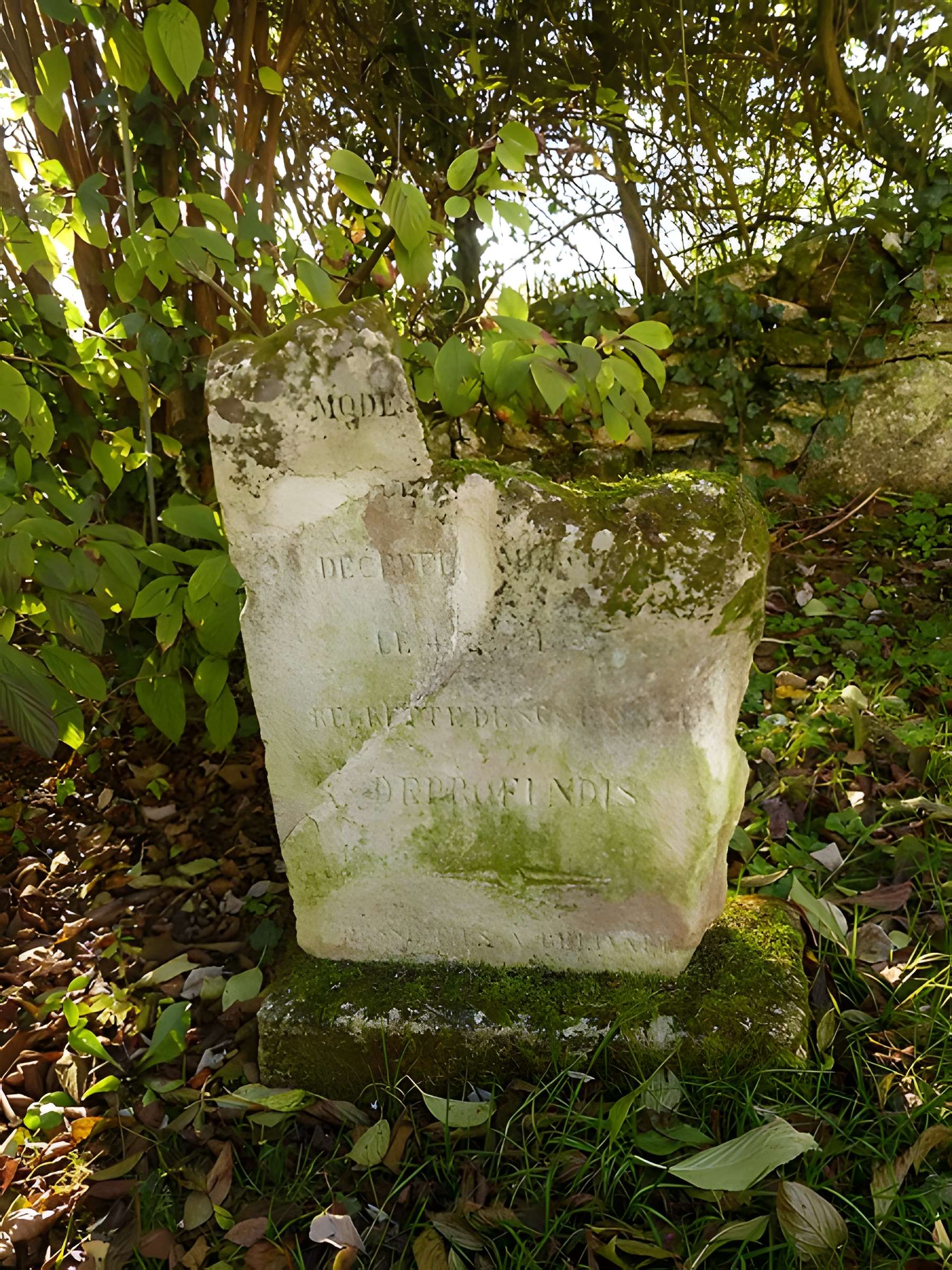 Église Notre-Dame de Morcourt