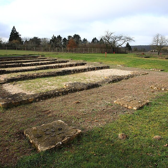 Photo de Argentomagus de Saint-Marcel