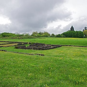 Argentomagus de Saint-Marcel