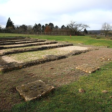 Argentomagus de Saint-Marcel