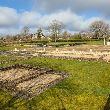 Argentomagus de Saint-Marcel
