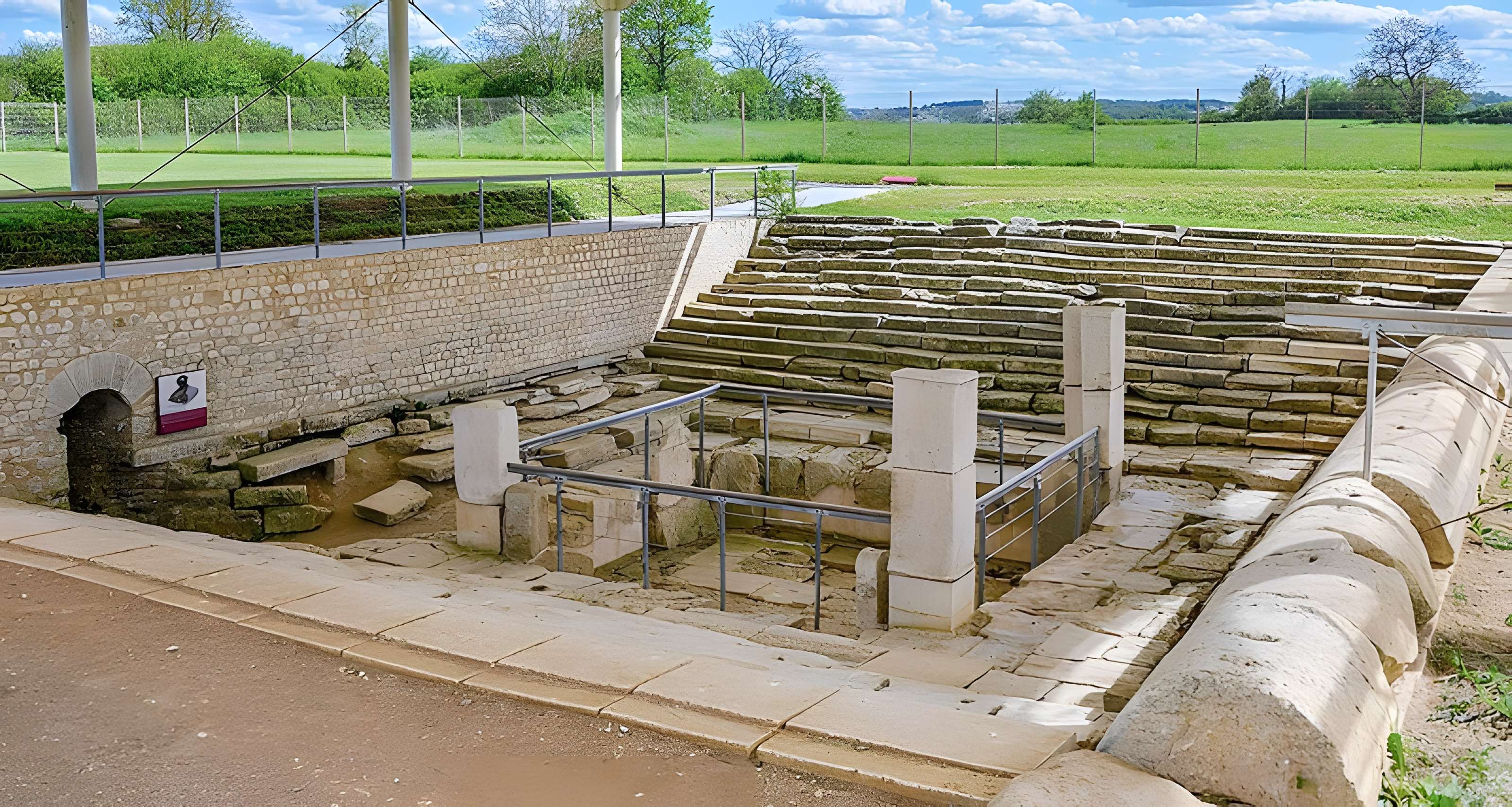 Argentomagus de Saint-Marcel