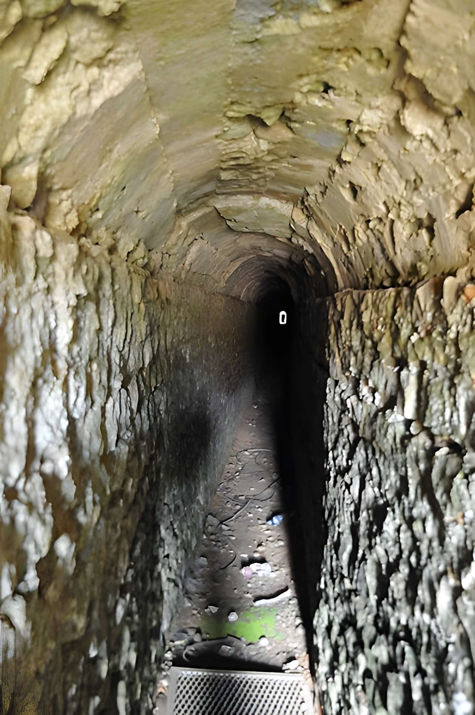 Argentomagus de Saint-Marcel