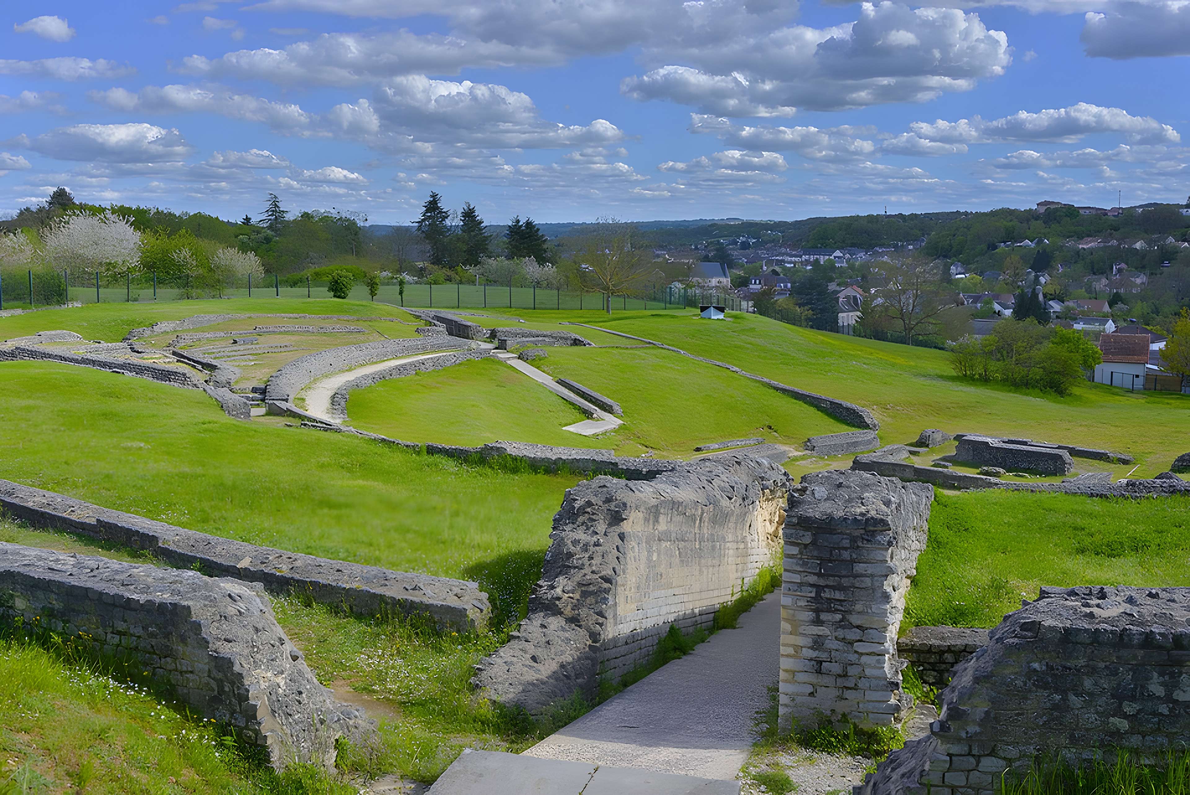Argentomagus de Saint-Marcel