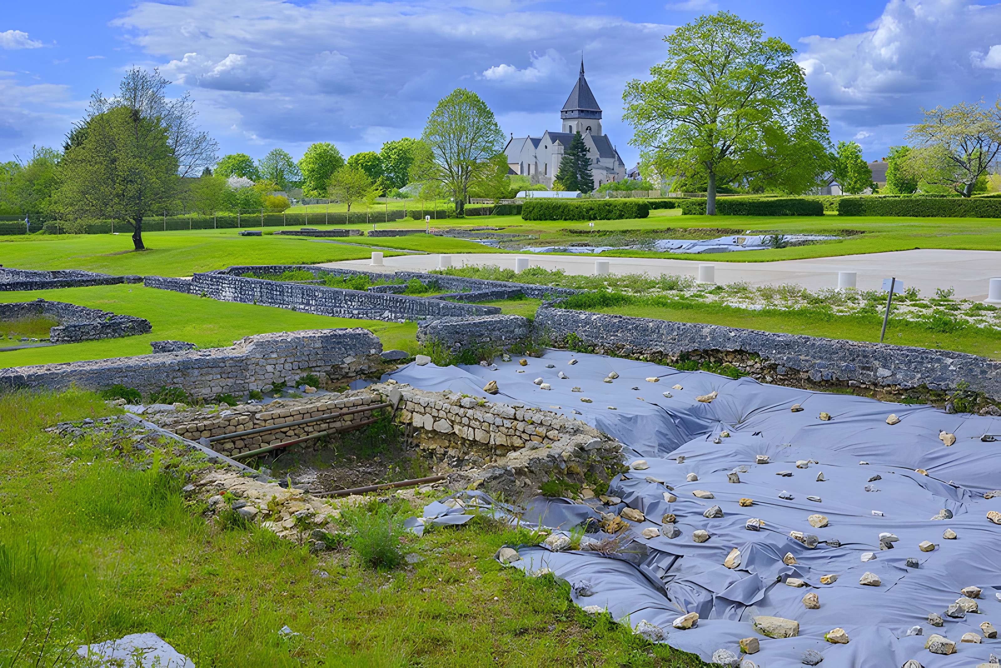 Argentomagus de Saint-Marcel