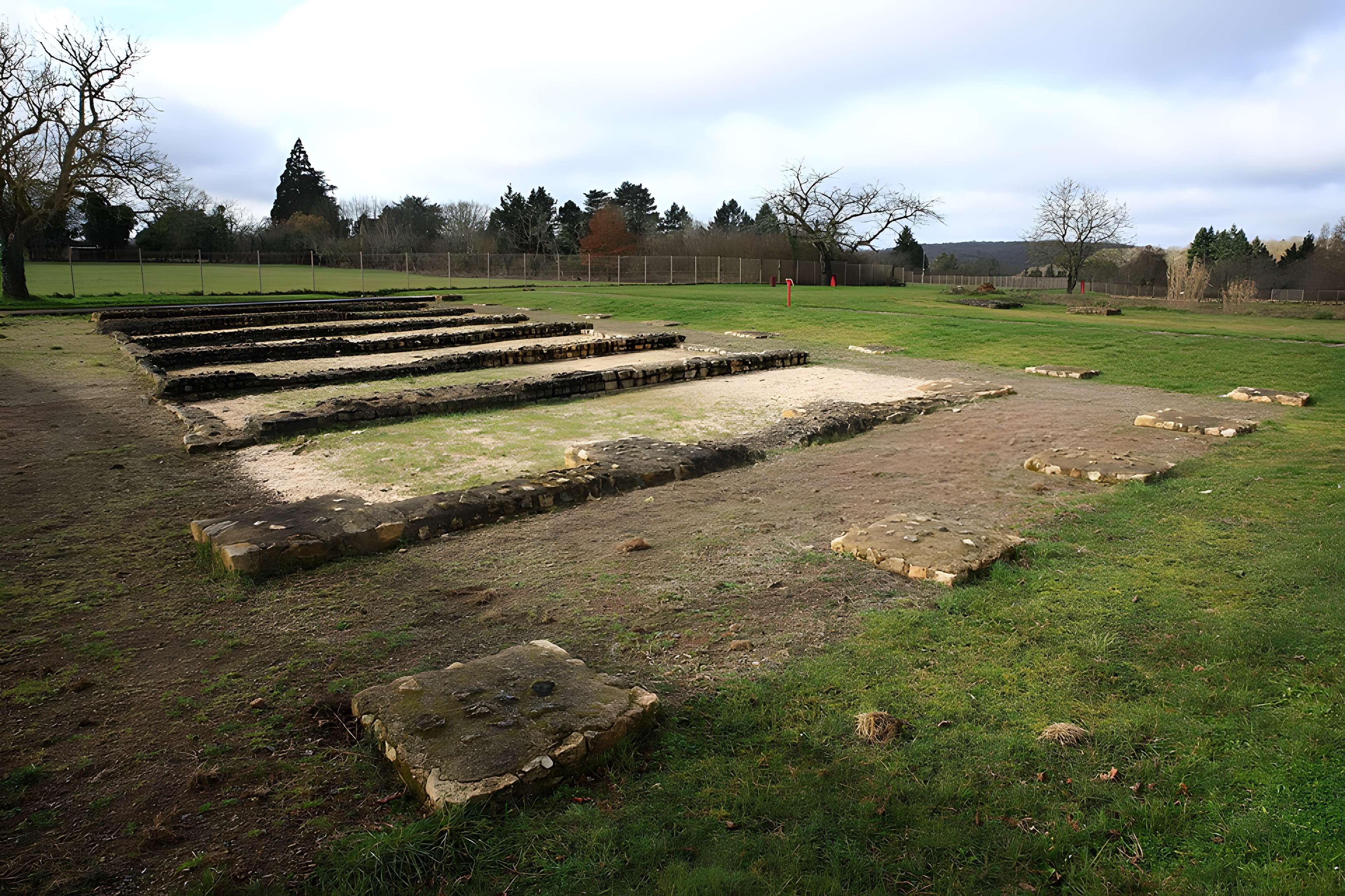 Argentomagus de Saint-Marcel