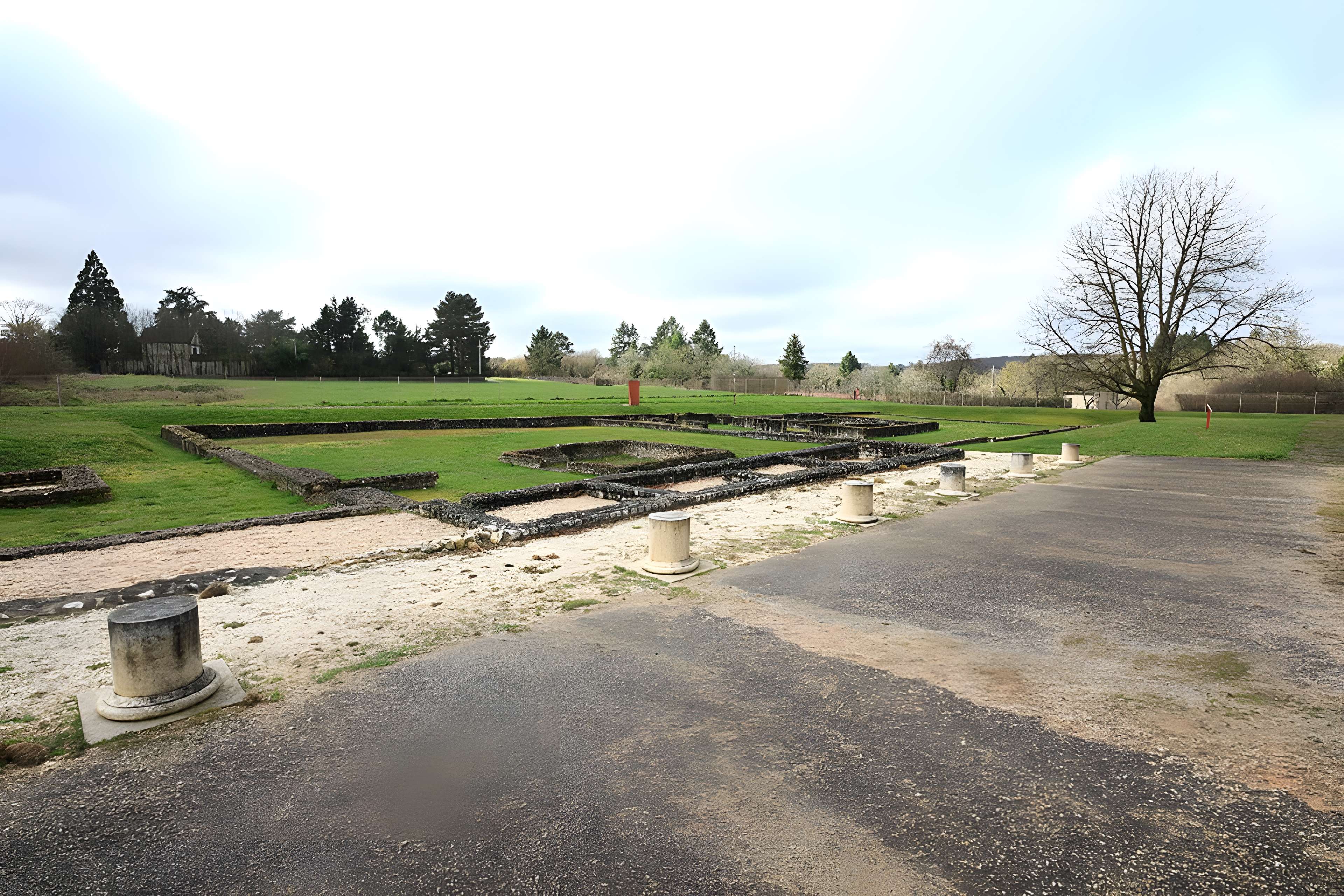 Argentomagus de Saint-Marcel