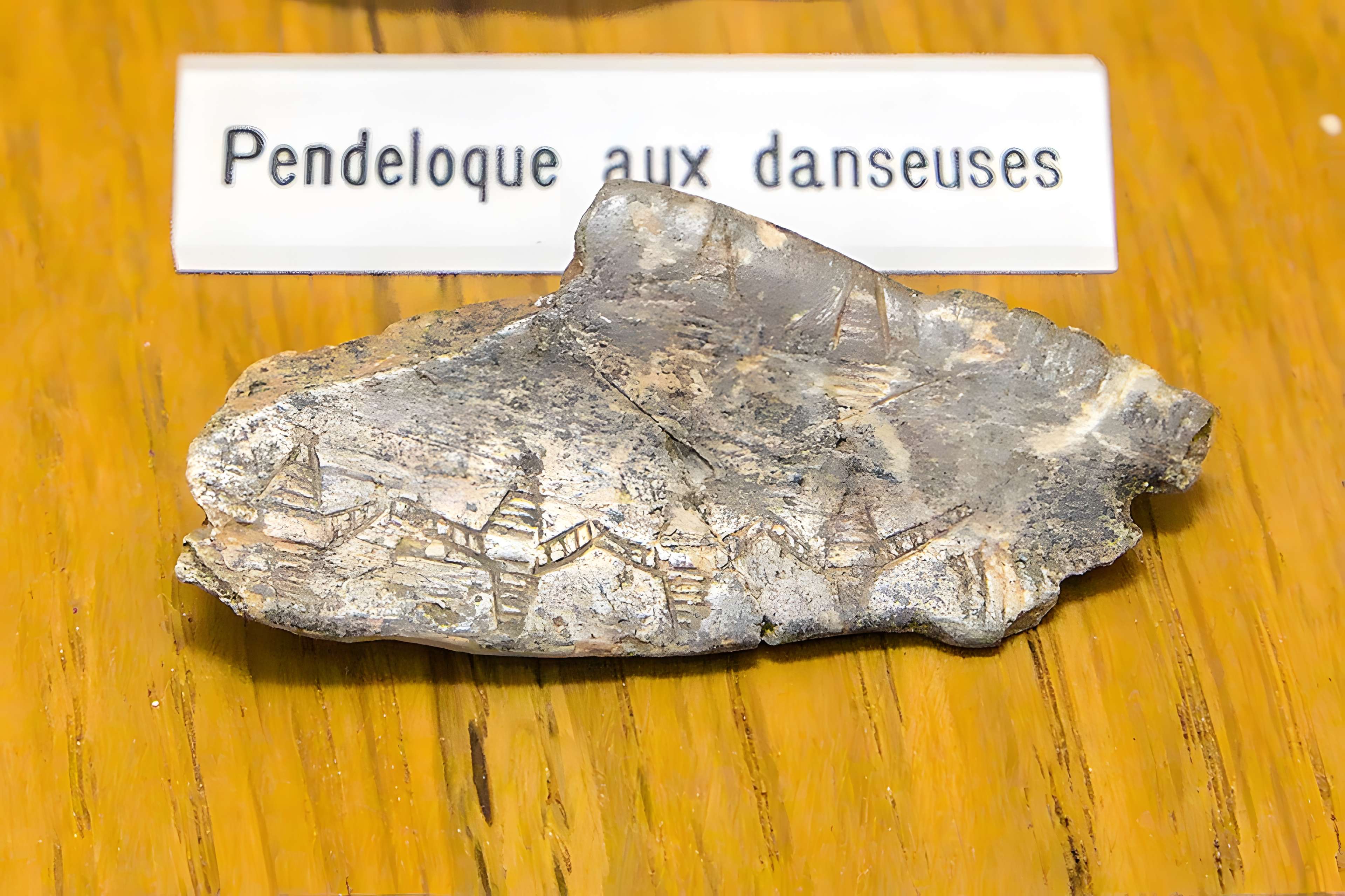 Argentomagus de Saint-Marcel