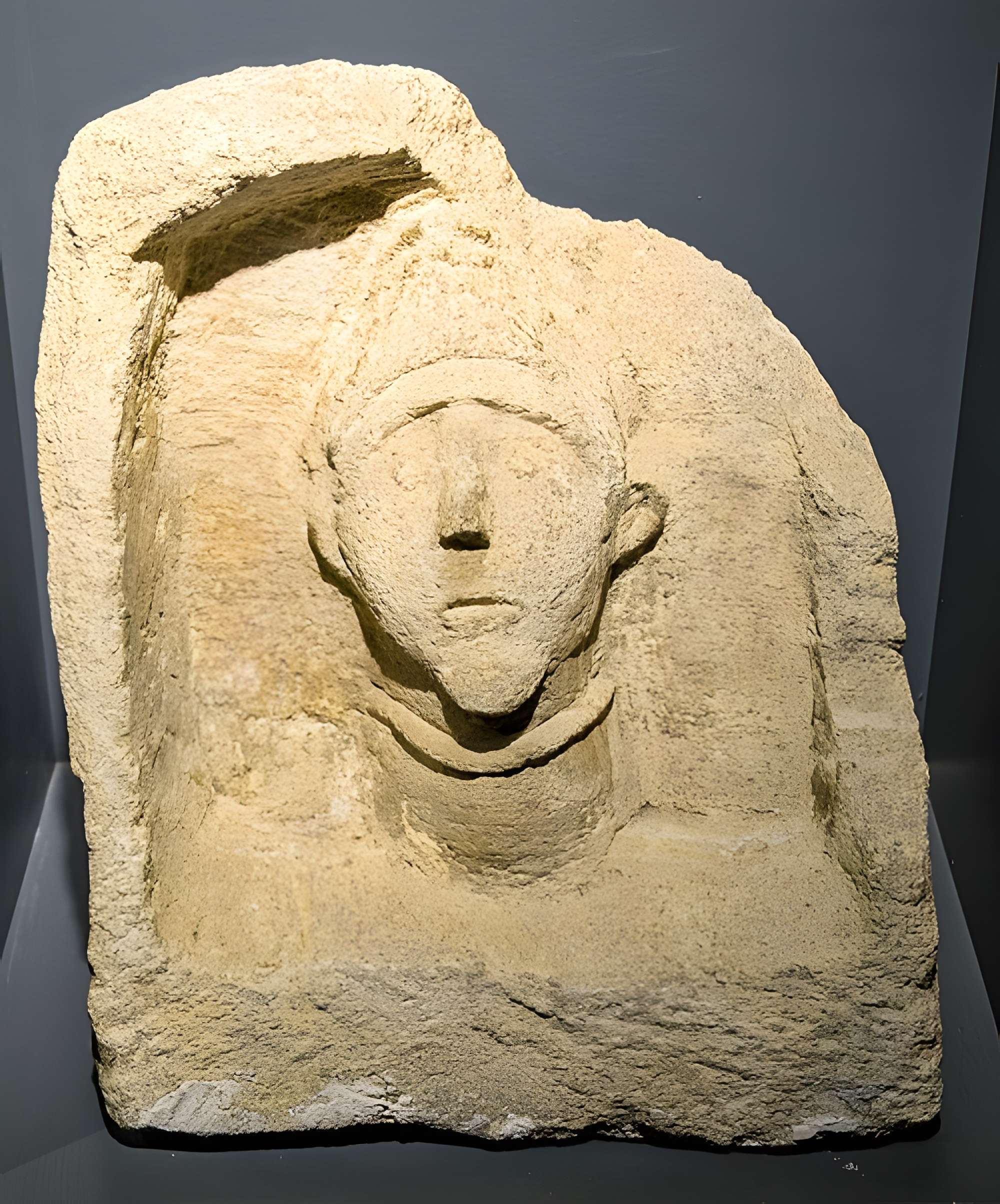 Argentomagus de Saint-Marcel