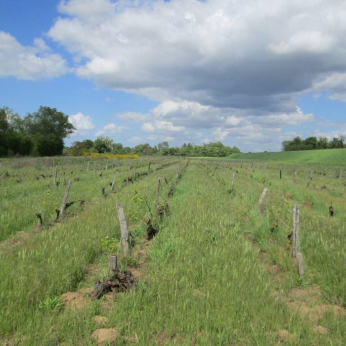 Photo de Église Notre-Dame de Nourray