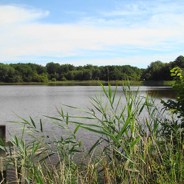 Photo de Église Notre-Dame de Nourray