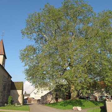 Église Notre-Dame de Préty