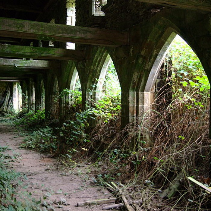 Photo de Abbaye de Belle-Étoile