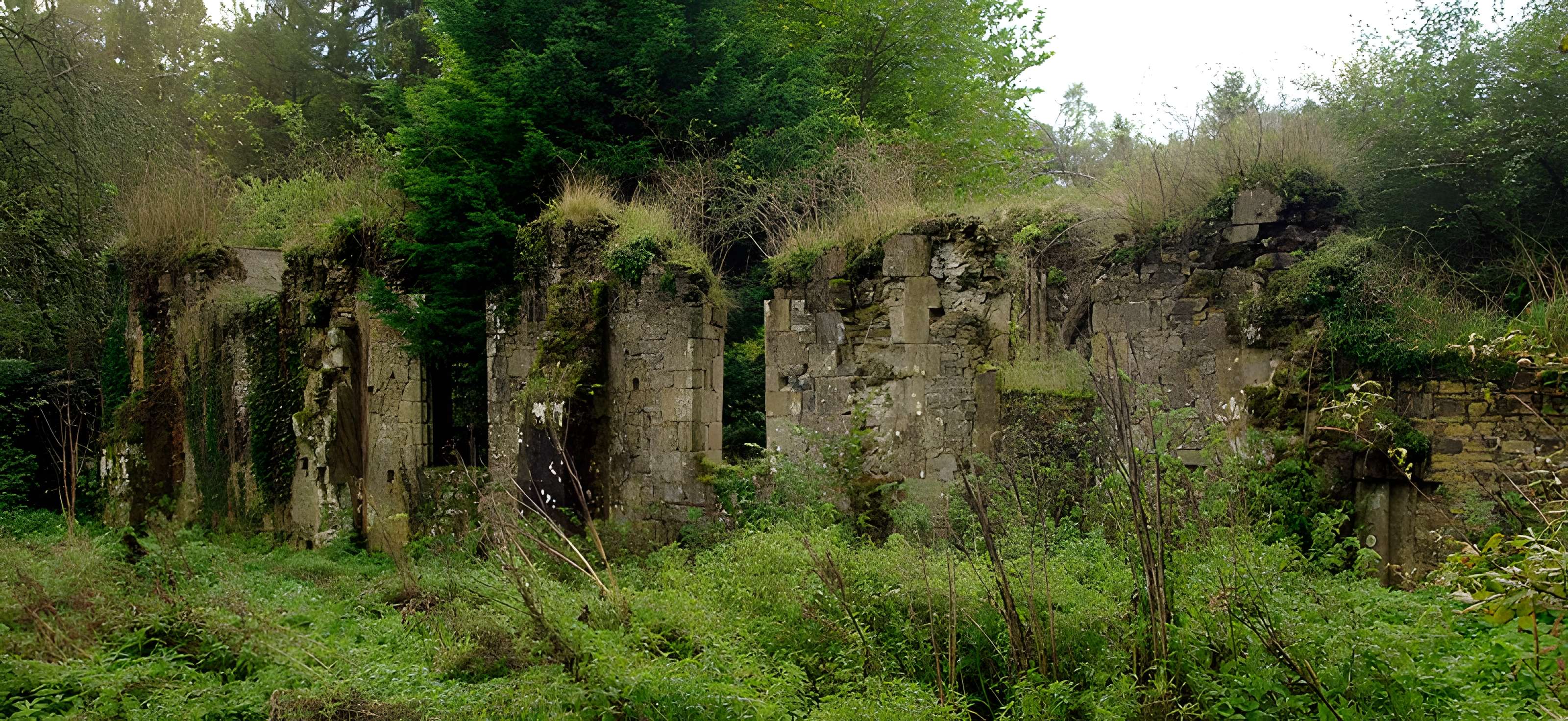 Abbaye de Belle-Étoile