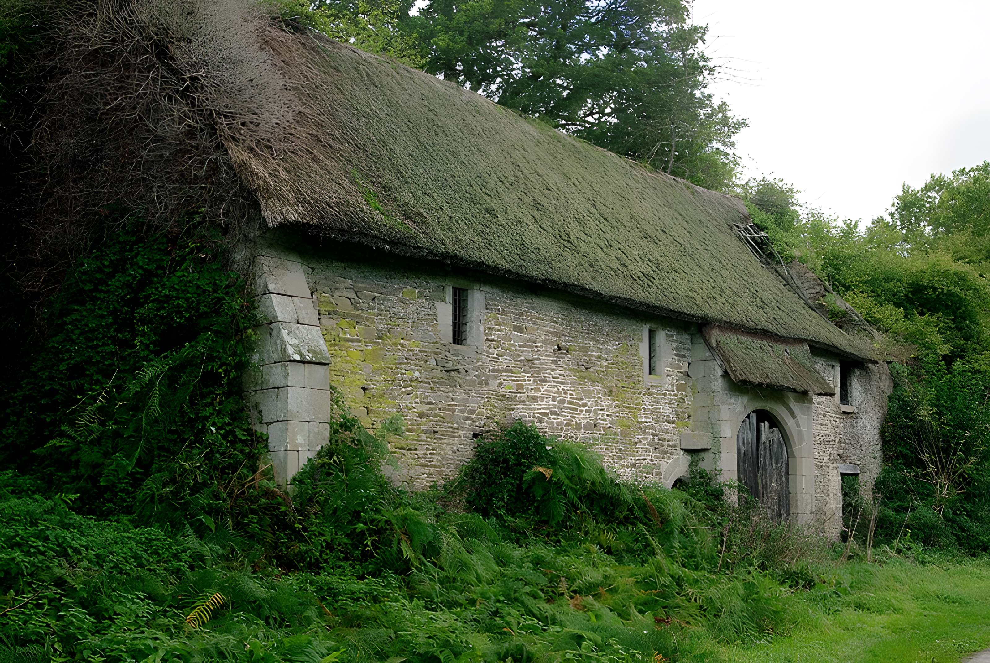 Abbaye de Belle-Étoile