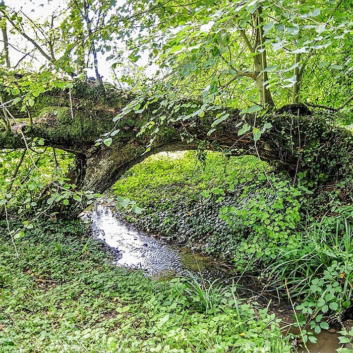 Photo de Abbaye de Bellevaux