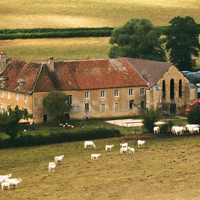 Photo de Abbaye de Bellevaux