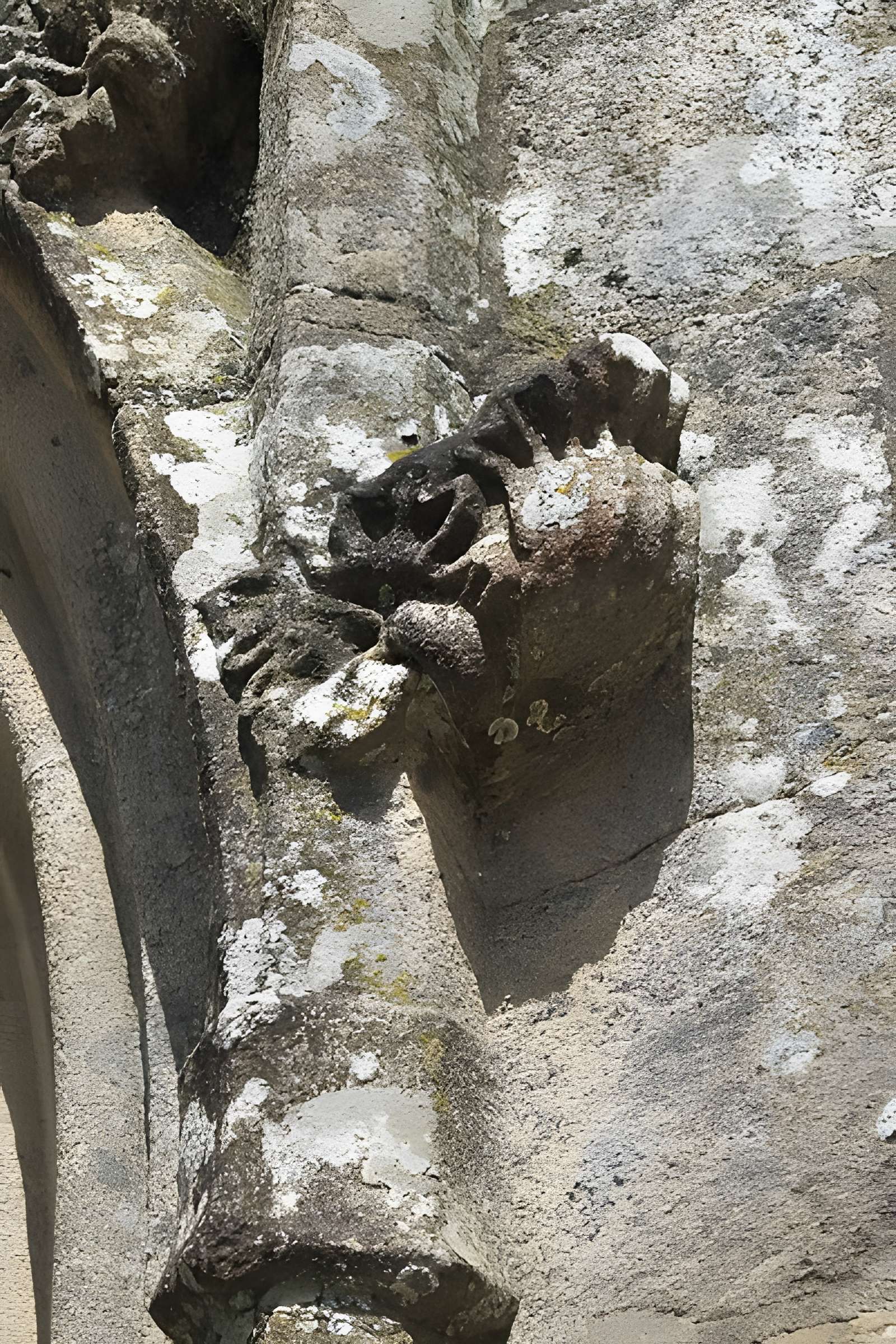 Église Notre-Dame du Tertre