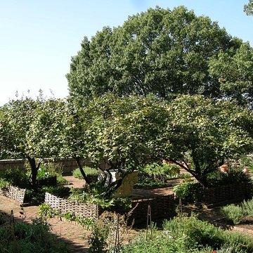 Abbaye de Bonnefont à Proupiary