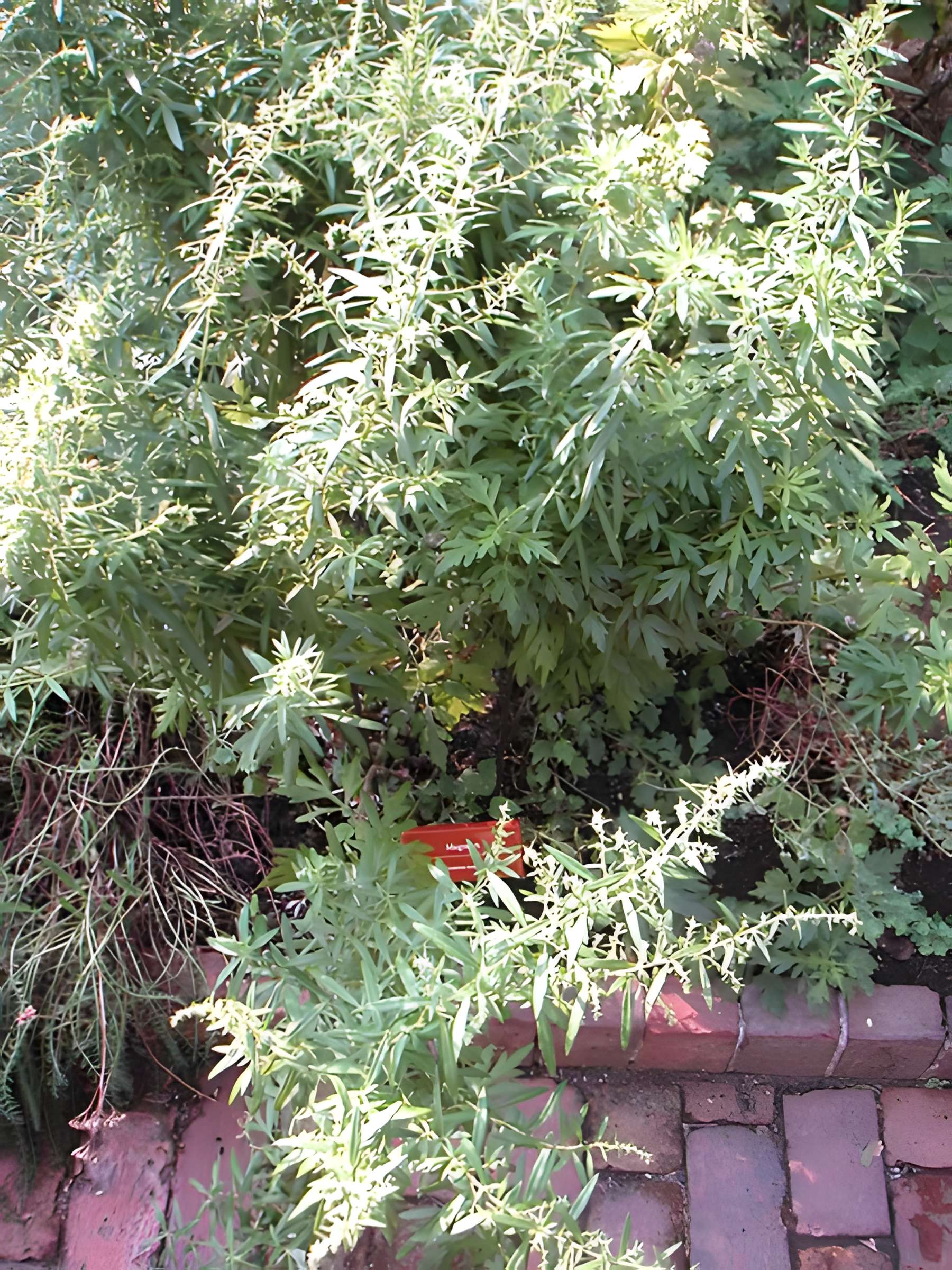 Abbaye de Bonnefont à Proupiary
