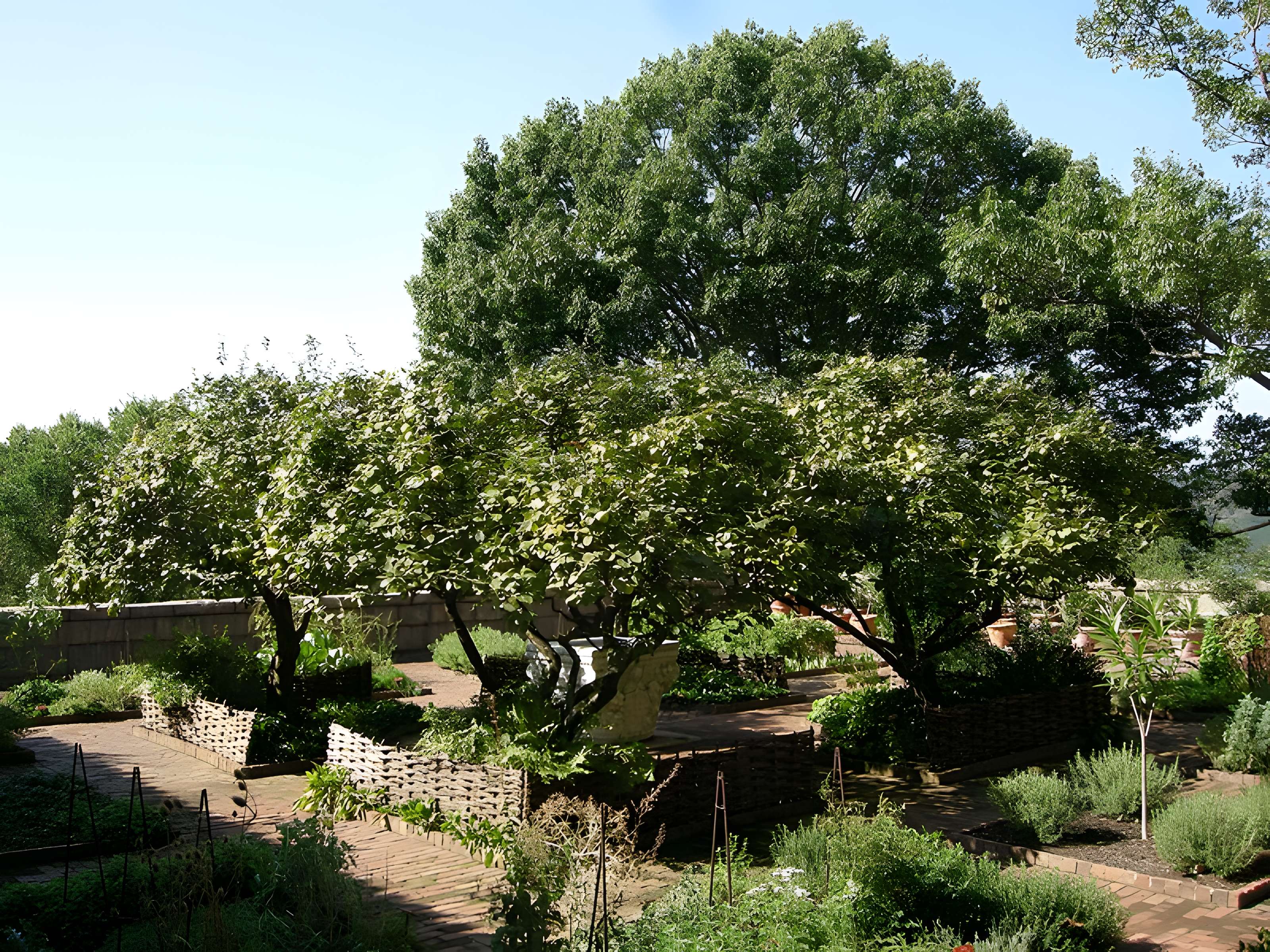 Abbaye de Bonnefont à Proupiary
