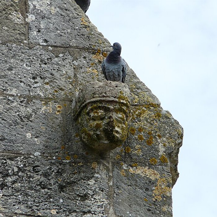 Photo de Église Notre-Dame-de-la-Nativité de Pressignac-Vicq