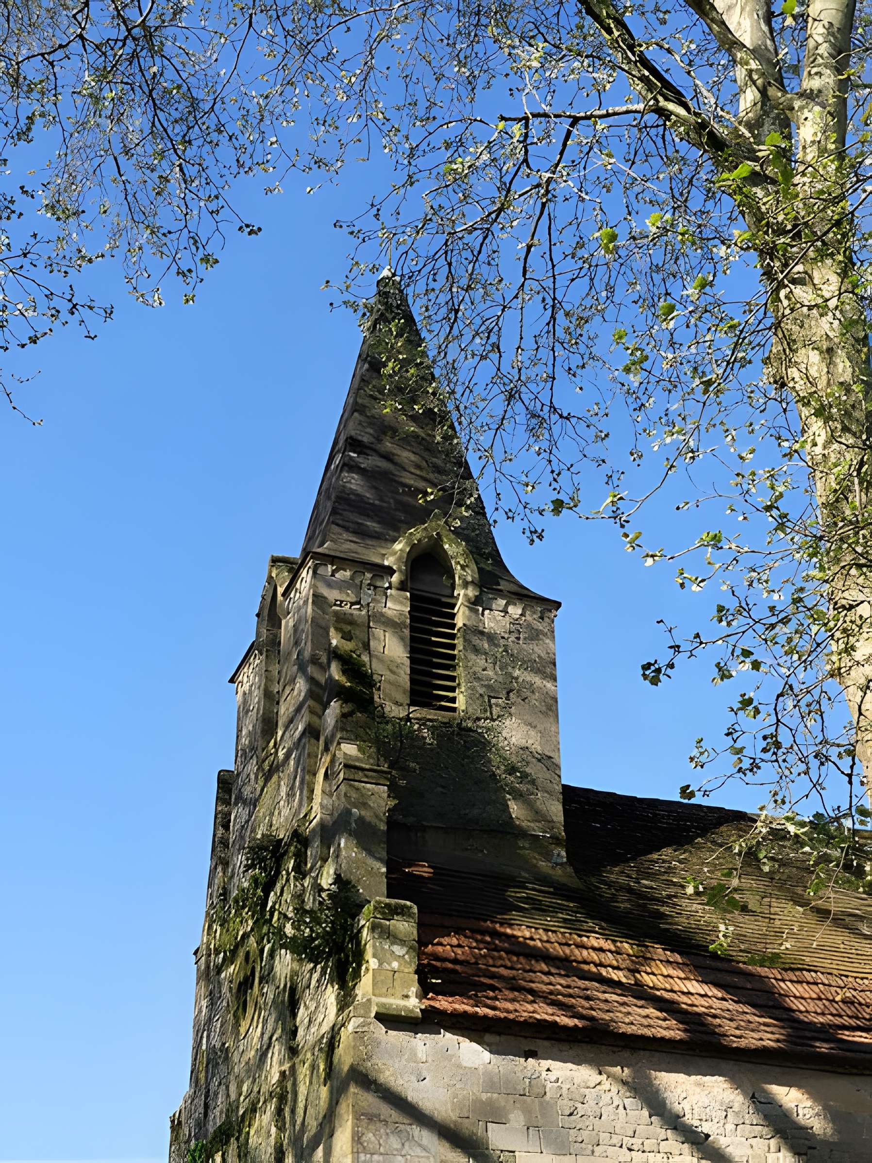 Église Notre-Dame-de-la-Nativité de Pressignac-Vicq