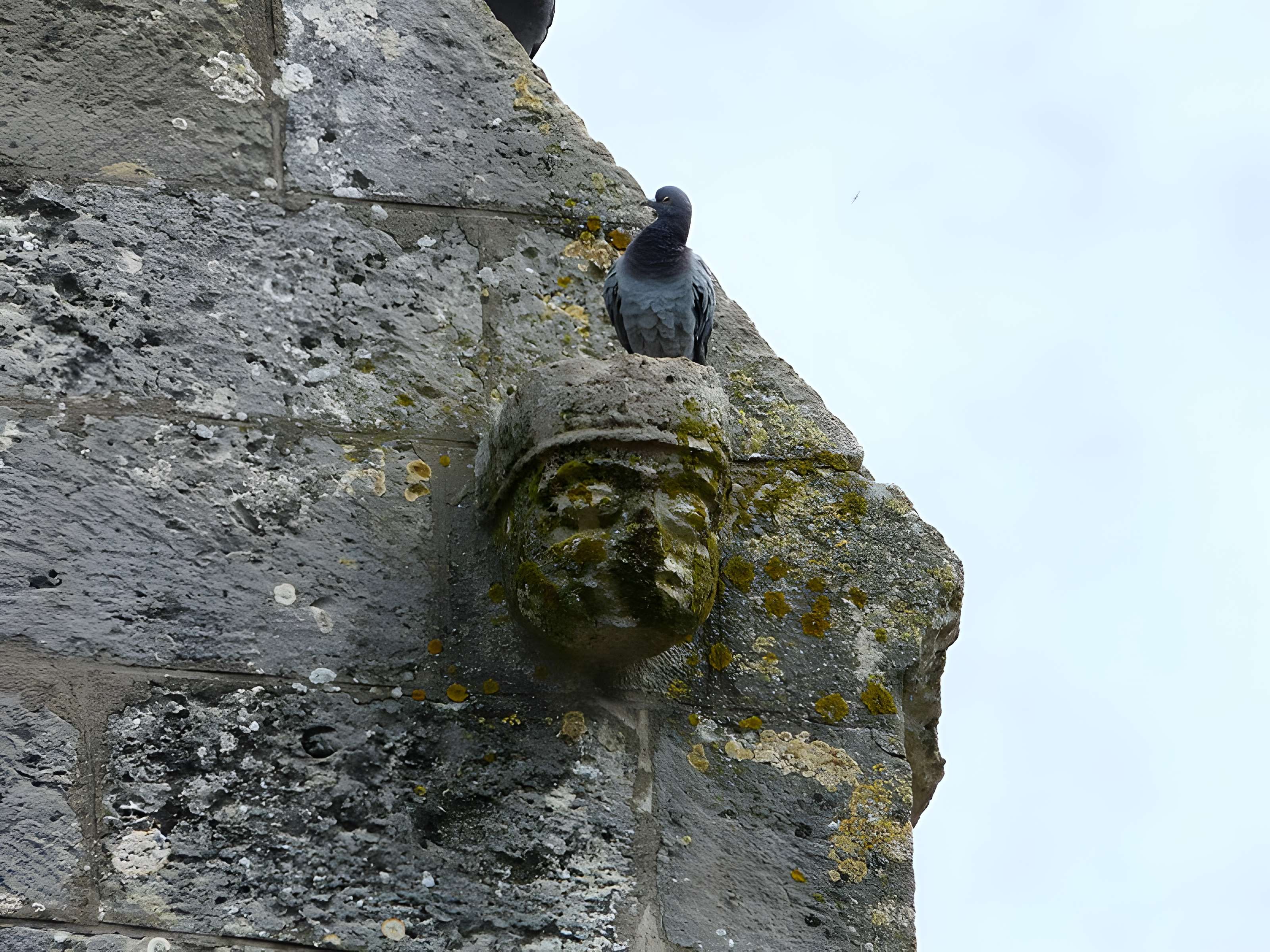 Église Notre-Dame-de-la-Nativité de Pressignac-Vicq