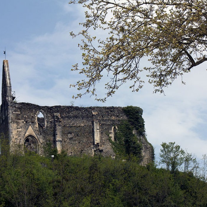 Photo de Église Notre-Dame-de-la-Pitié de Salies-du-Salat