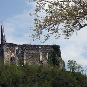 eglise notre dame de la pitie de salies du salat