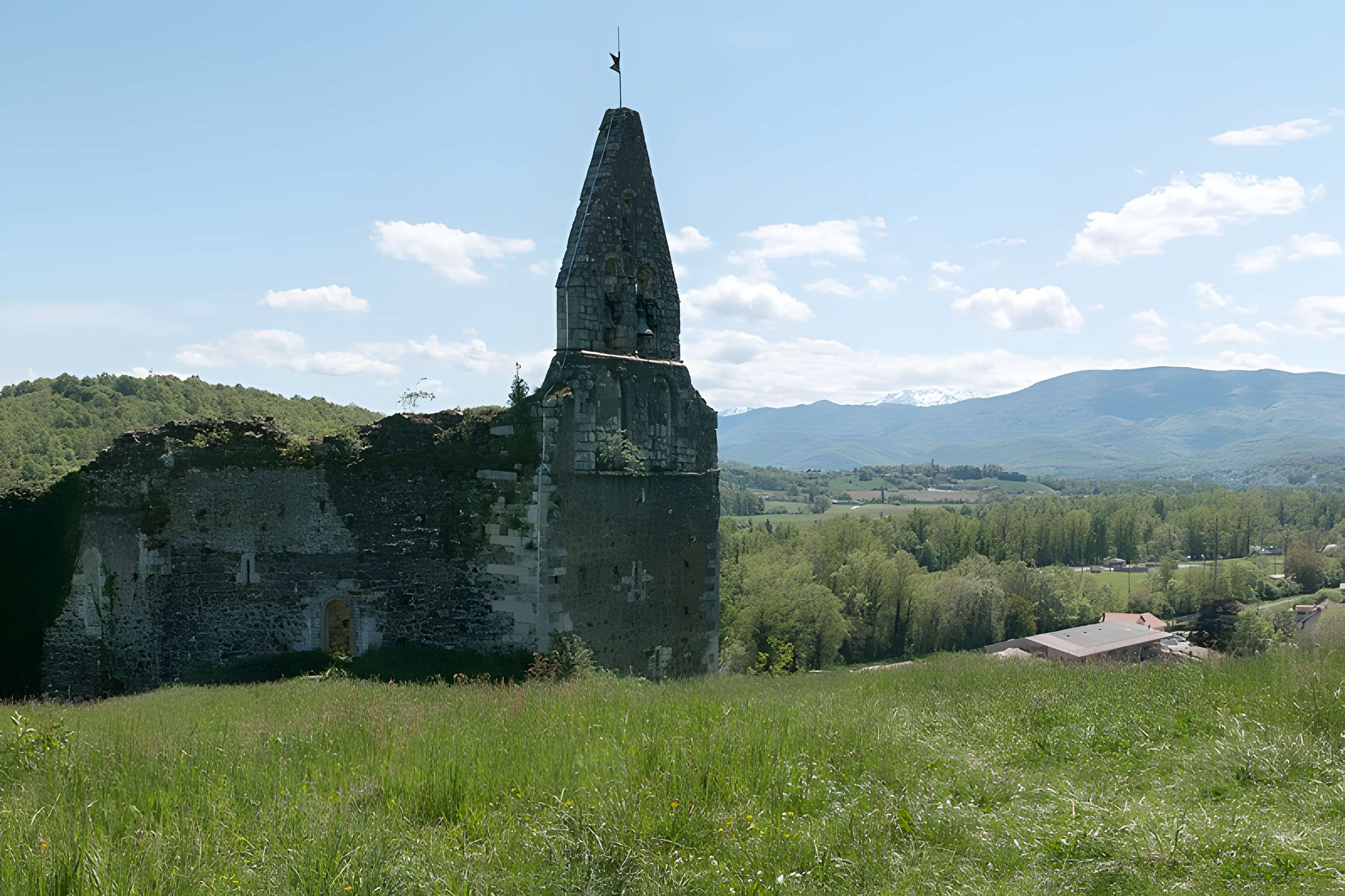 Église Notre-Dame-de-la-Pitié de Salies-du-Salat