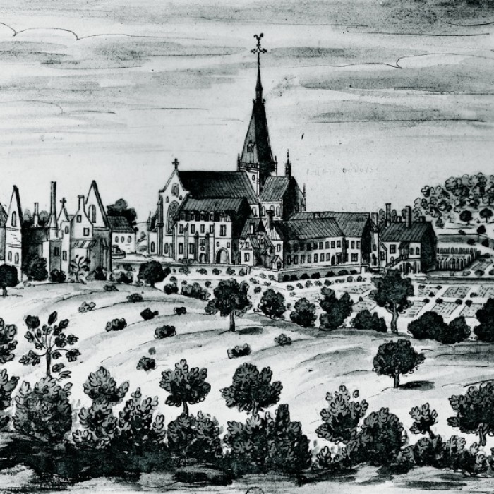 Photo de Abbaye de Fontaine-Daniel