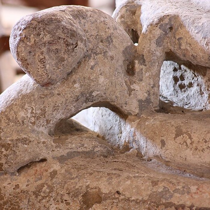 Photo de Église Notre-Dame-de-lAssomption de Vic