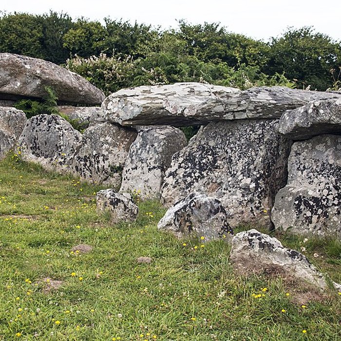 Photo de Autel des druides des Moitiers-dAllonne
