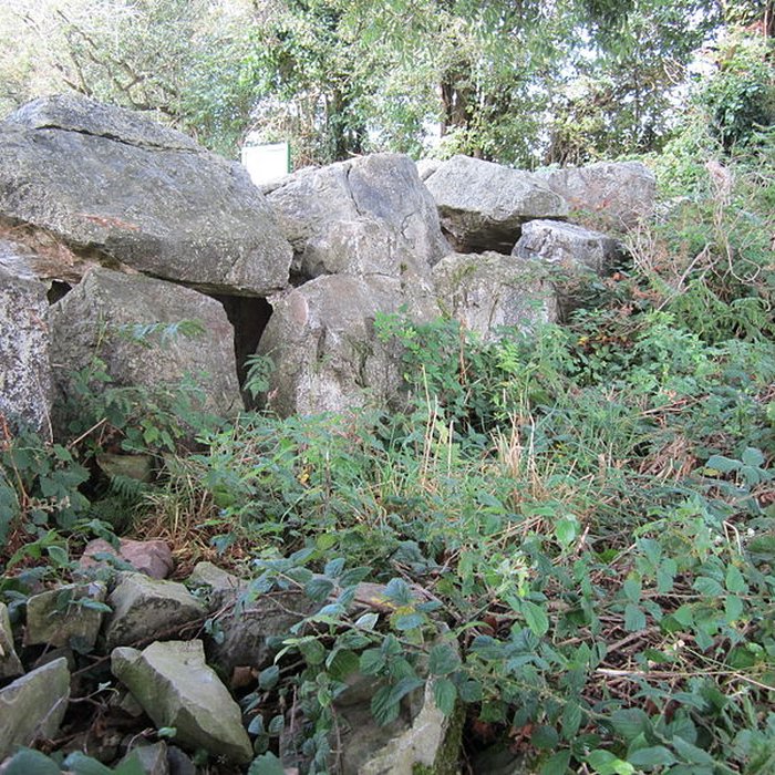 Photo de Autel des druides des Moitiers-dAllonne