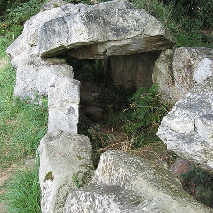 Photo de Autel des druides des Moitiers-dAllonne