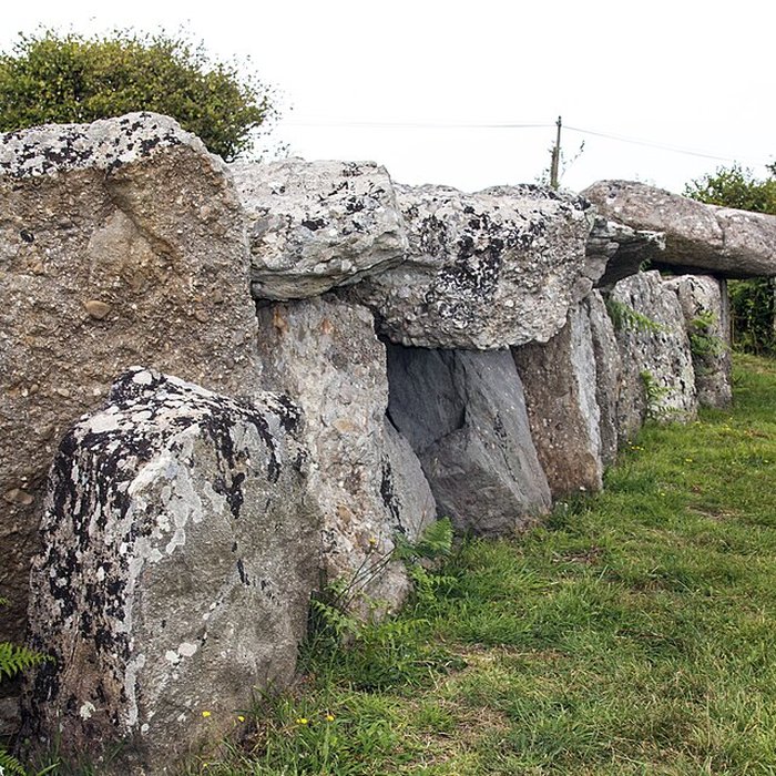 Photo de Autel des druides des Moitiers-dAllonne