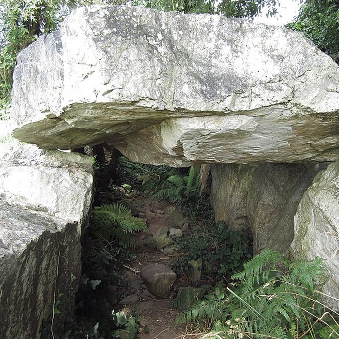 Photo de Autel des druides des Moitiers-dAllonne