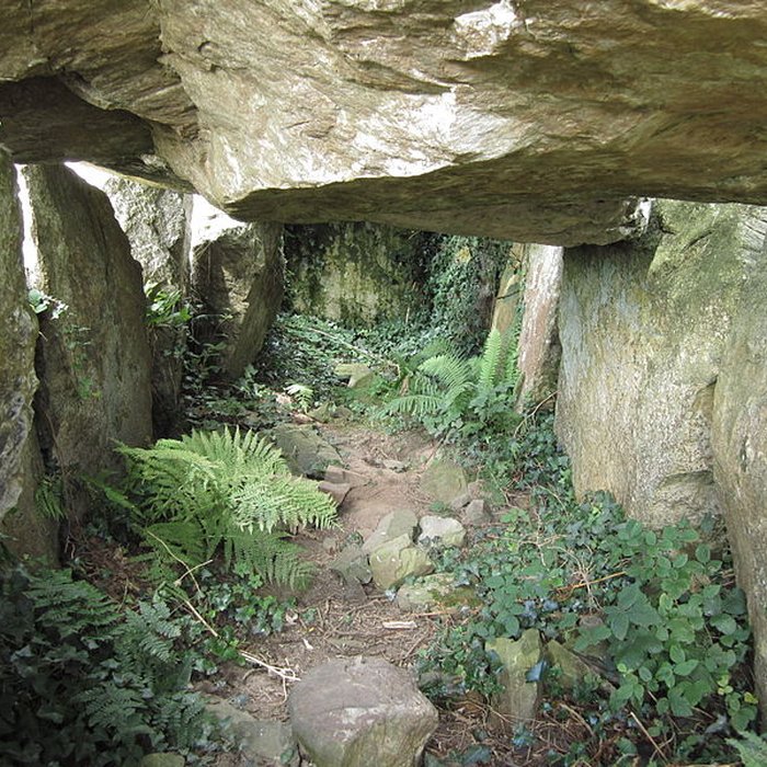 Photo de Autel des druides des Moitiers-dAllonne