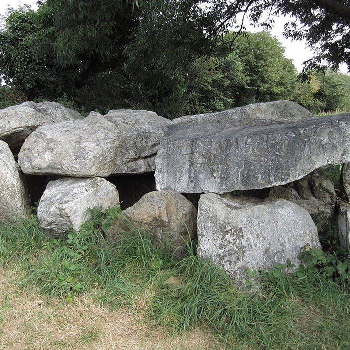 Photo de Autel des druides des Moitiers-dAllonne