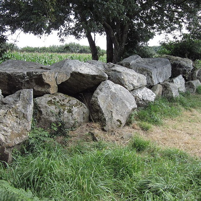 Photo de Autel des druides des Moitiers-dAllonne