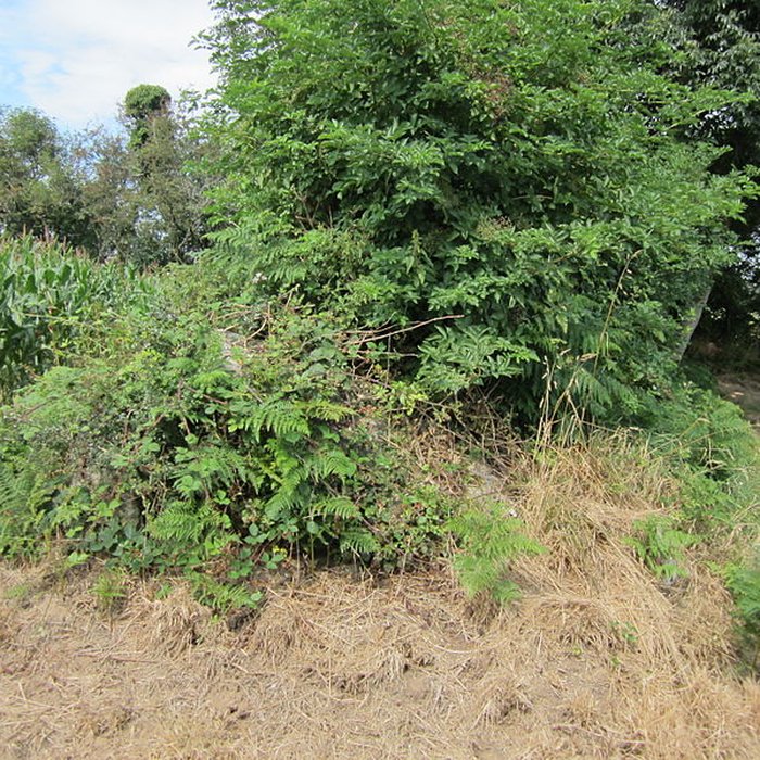 Photo de Autel des druides des Moitiers-dAllonne