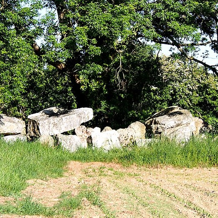 Photo de Autel des druides des Moitiers-dAllonne