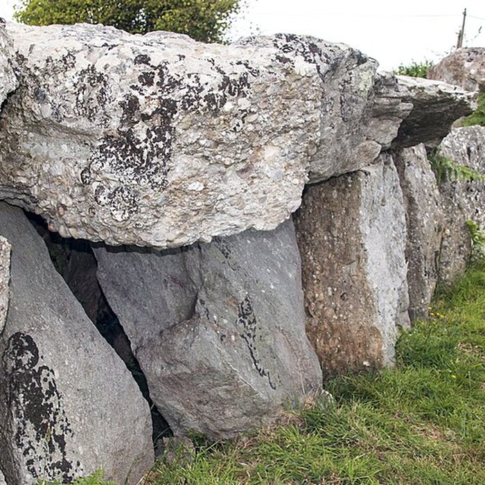 Photo de Autel des druides des Moitiers-dAllonne