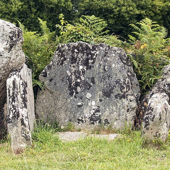 Photo de Autel des druides des Moitiers-dAllonne